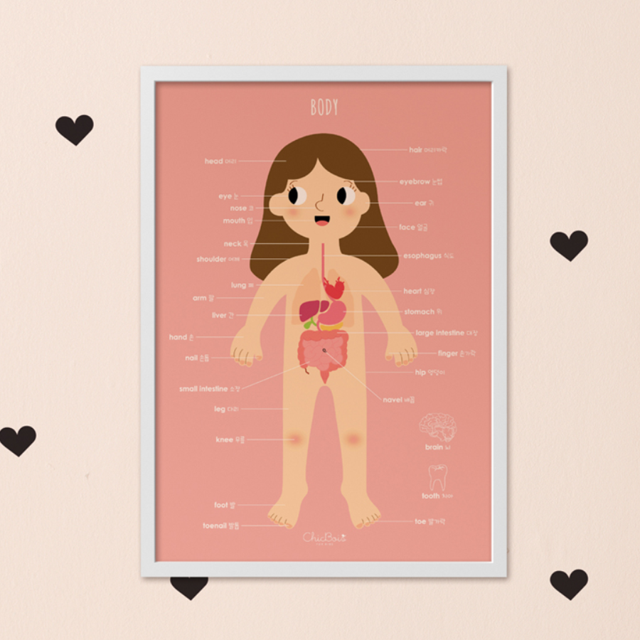 캐리마켓 -  쉬크브와 NEW 신체 여 포스터