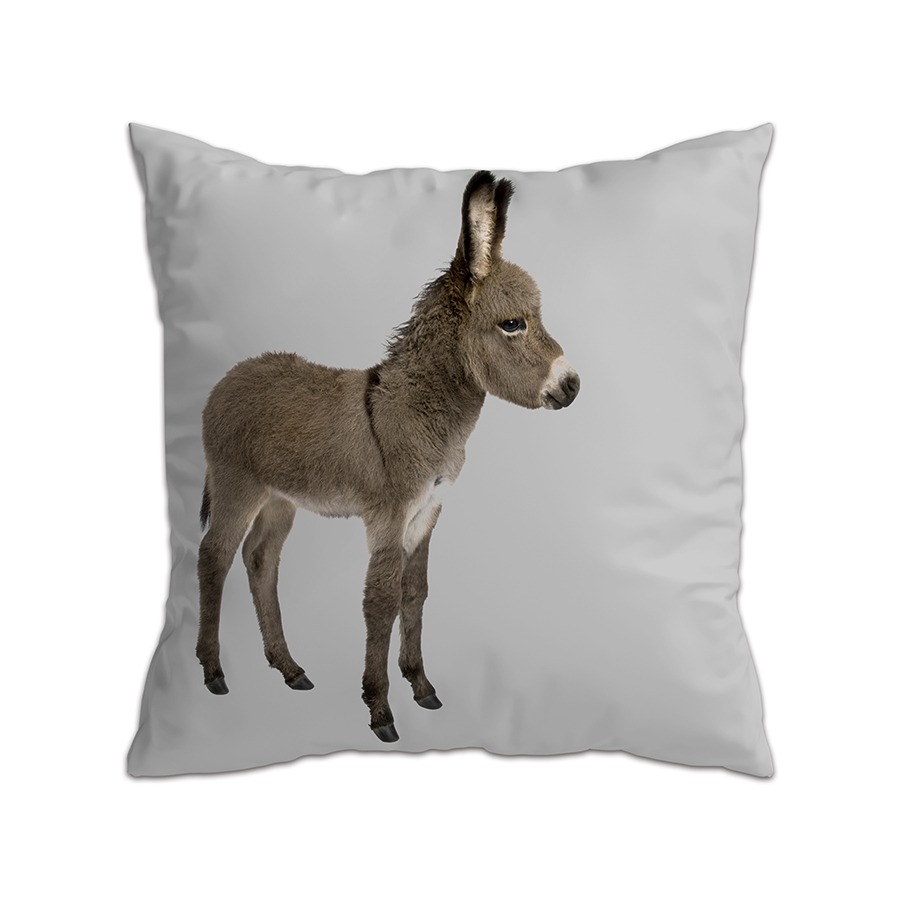 캐리마켓 -  [드로잉에이미] Donkey cushion