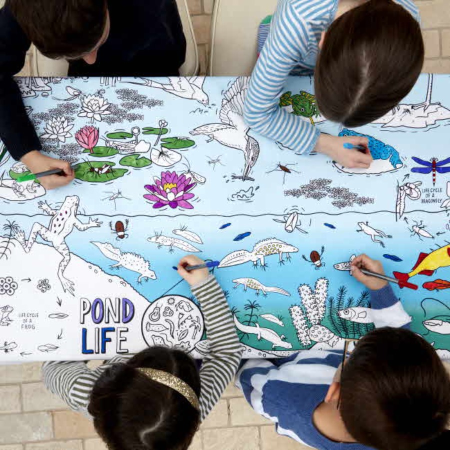 캐리마켓 -  [잇슬립두들] pond life tablecloth - colour in &amp; learn